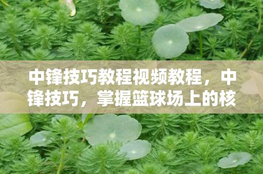 中锋技巧教程视频教程，中锋技巧，掌握篮球场上的核心力量