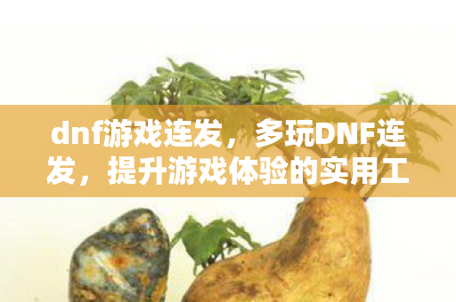 dnf游戏连发，多玩DNF连发，提升游戏体验的实用工具