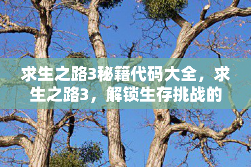 求生之路3秘籍代码大全，求生之路3，解锁生存挑战的秘密武器