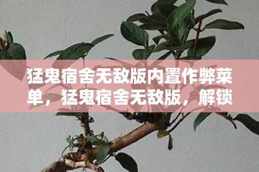 猛鬼宿舍无敌版内置作弊菜单，猛鬼宿舍无敌版，解锁无限可能的宿舍冒险