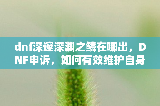 dnf深邃深渊之鳞在哪出，DNF申诉，如何有效维护自身权益