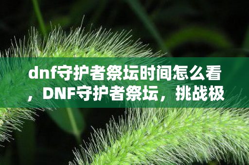 dnf守护者祭坛时间怎么看，DNF守护者祭坛，挑战极限，掌握时间之匙