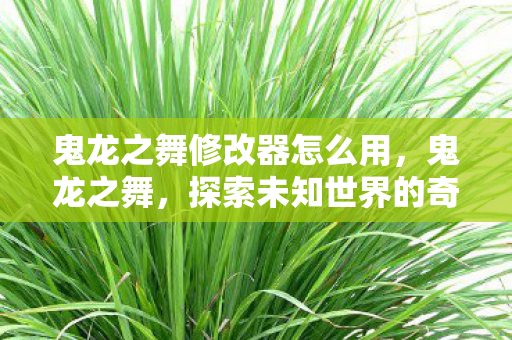 鬼龙之舞修改器怎么用，鬼龙之舞，探索未知世界的奇幻之旅