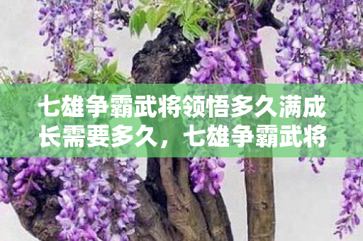 七雄争霸武将领悟多久满成长需要多久，七雄争霸武将领悟，深度解析武将技能与战略运用