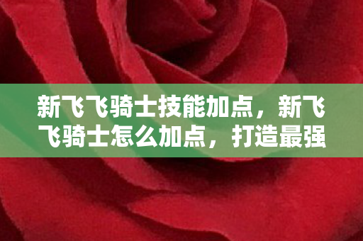 新飞飞骑士技能加点，新飞飞骑士怎么加点，打造最强战斗力的加点攻略