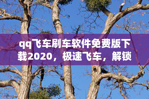 qq飞车刷车软件免费版下载2020，极速飞车，解锁刷车新境界