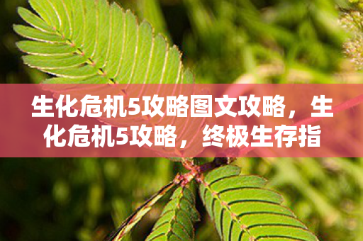 生化危机5攻略图文攻略，生化危机5攻略，终极生存指南