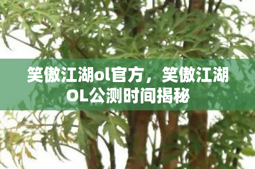 笑傲江湖ol官方，笑傲江湖OL公测时间揭秘