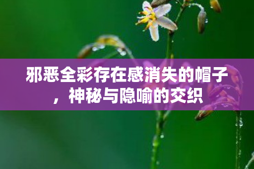 邪恶全彩存在感消失的帽子,神秘与隐喻的交织 邪恶全彩存在感消失的帽子,神秘与隐喻的交织