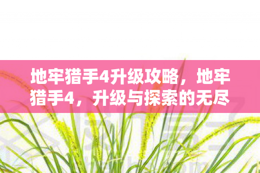 地牢猎手4升级攻略，地牢猎手4，升级与探索的无尽之旅