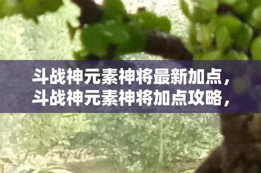 斗战神元素神将最新加点，斗战神元素神将加点攻略，打造最强战斗力的关键
