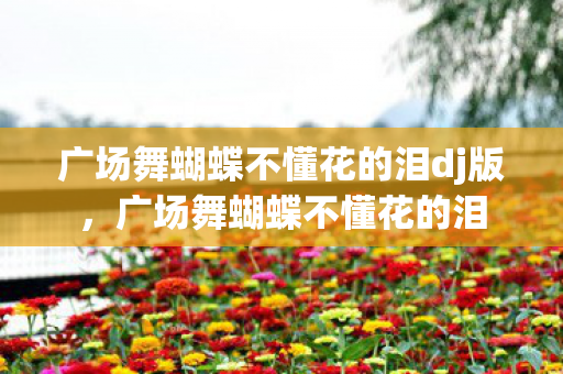 广场舞蝴蝶不懂花的泪dj版，广场舞蝴蝶不懂花的泪