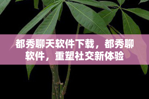 都秀聊天软件下载，都秀聊软件，重塑社交新体验