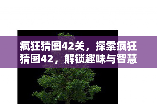 疯狂猜图42关，探索疯狂猜图42，解锁趣味与智慧的双重挑战