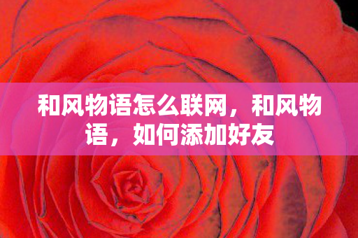 和风物语怎么联网，和风物语，如何添加好友