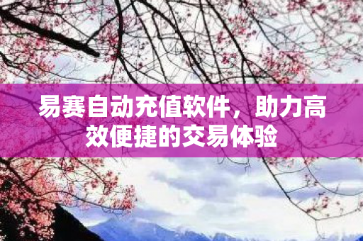 易赛自动充值软件，助力高效便捷的交易体验