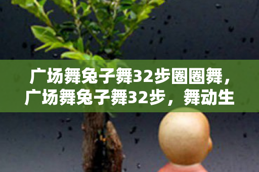 广场舞兔子舞32步圈圈舞，广场舞兔子舞32步，舞动生活的快乐旋律