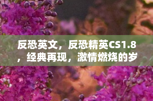 反恐英文，反恐精英CS1.8，经典再现，激情燃烧的岁月