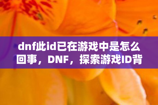 dnf此id已在游戏中是怎么回事，DNF，探索游戏ID背后的故事与意义