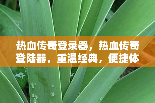 热血传奇登录器，热血传奇登陆器，重温经典，便捷体验