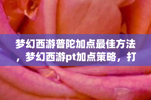梦幻西游普陀加点最佳方法，梦幻西游pt加点策略，打造高效辅助的秘诀