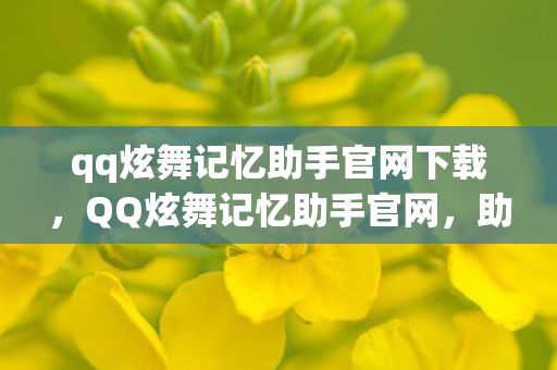 qq炫舞记忆助手官网下载，QQ炫舞记忆助手官网，助力玩家高效游戏，打造个性化体验