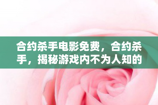 合约杀手电影免费，合约杀手，揭秘游戏内不为人知的规则制定者