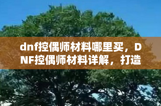 dnf控偶师材料哪里买，DNF控偶师材料详解，打造顶级人偶的必备素材