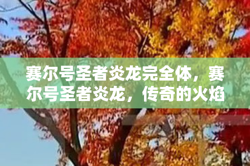 赛尔号圣者炎龙完全体，赛尔号圣者炎龙，传奇的火焰与荣耀