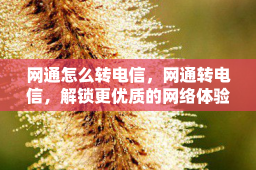 网通怎么转电信，网通转电信，解锁更优质的网络体验
