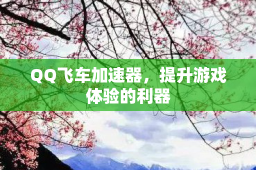 QQ飞车加速器，提升游戏体验的利器