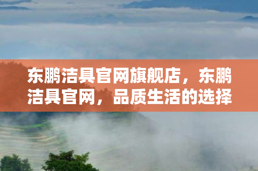 东鹏洁具官网旗舰店，东鹏洁具官网，品质生活的选择