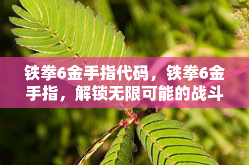 铁拳6金手指代码，铁拳6金手指，解锁无限可能的战斗技巧