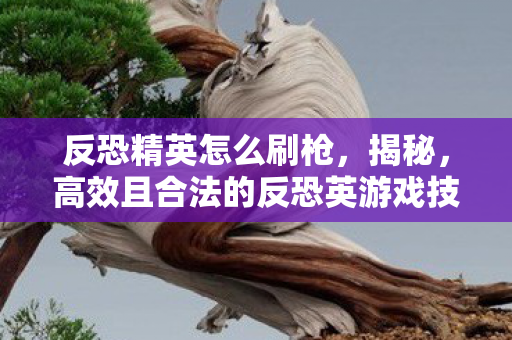 反恐精英怎么刷枪，揭秘，高效且合法的反恐英游戏技巧提升策略