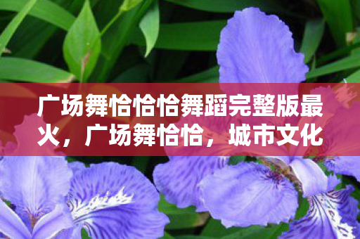 广场舞恰恰恰舞蹈完整版最火，广场舞恰恰，城市文化的新篇章