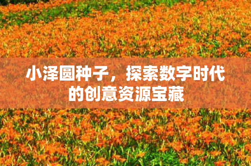 小泽圆种子，探索数字时代的创意资源宝藏