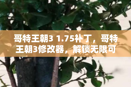 哥特王朝3 1.75补丁，哥特王朝3修改器，解锁无限可能的冒险之旅