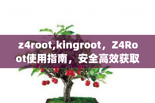 z4root,kingroot，Z4Root使用指南，安全高效获取系统权限