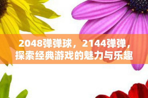 2048弹弹球，2144弹弹，探索经典游戏的魅力与乐趣