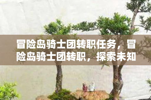 冒险岛骑士团转职任务，冒险岛骑士团转职，探索未知，挑战自我