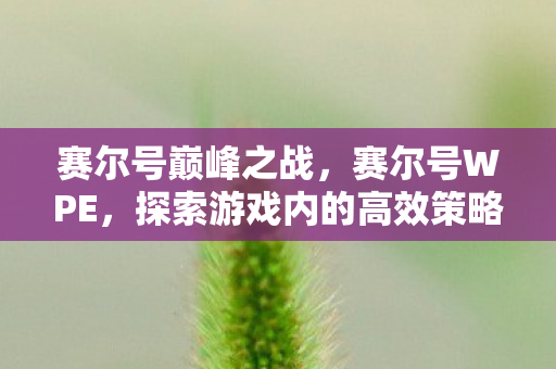 赛尔号巅峰之战，赛尔号WPE，探索游戏内的高效策略与工具