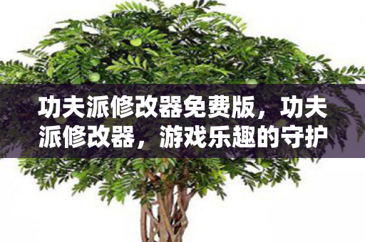 功夫派修改器免费版，功夫派修改器，游戏乐趣的守护者还是规则的挑战者？