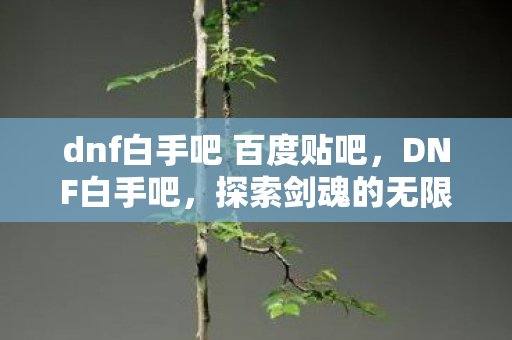 dnf白手吧 百度贴吧，DNF白手吧，探索剑魂的无限可能