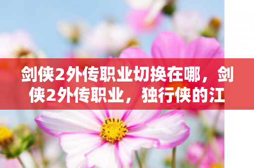 剑侠2外传职业切换在哪，剑侠2外传职业，独行侠的江湖之旅