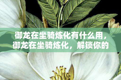 御龙在坐骑炼化有什么用，御龙在坐骑炼化，解锁你的专属飞行伙伴