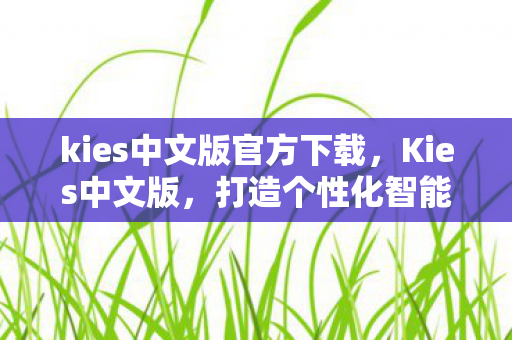 kies中文版官方下载，Kies中文版，打造个性化智能体验