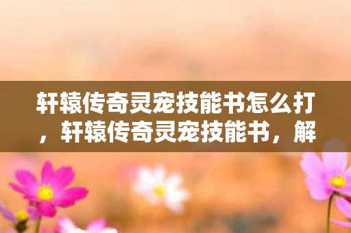 轩辕传奇灵宠技能书怎么打，轩辕传奇灵宠技能书，解锁宠物无限潜能的秘籍