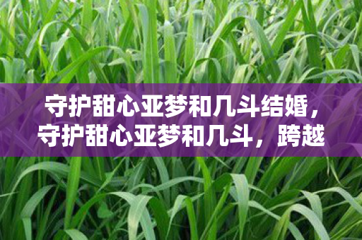 守护甜心亚梦和几斗结婚，守护甜心亚梦和几斗，跨越次元的友情与梦想