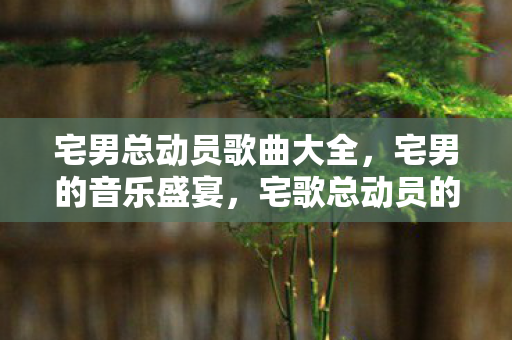 宅男总动员歌曲大全，宅男的音乐盛宴，宅歌总动员的无限魅力