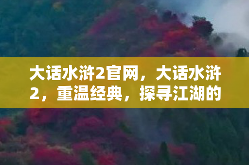 大话水浒2官网，大话水浒2，重温经典，探寻江湖的无限可能
